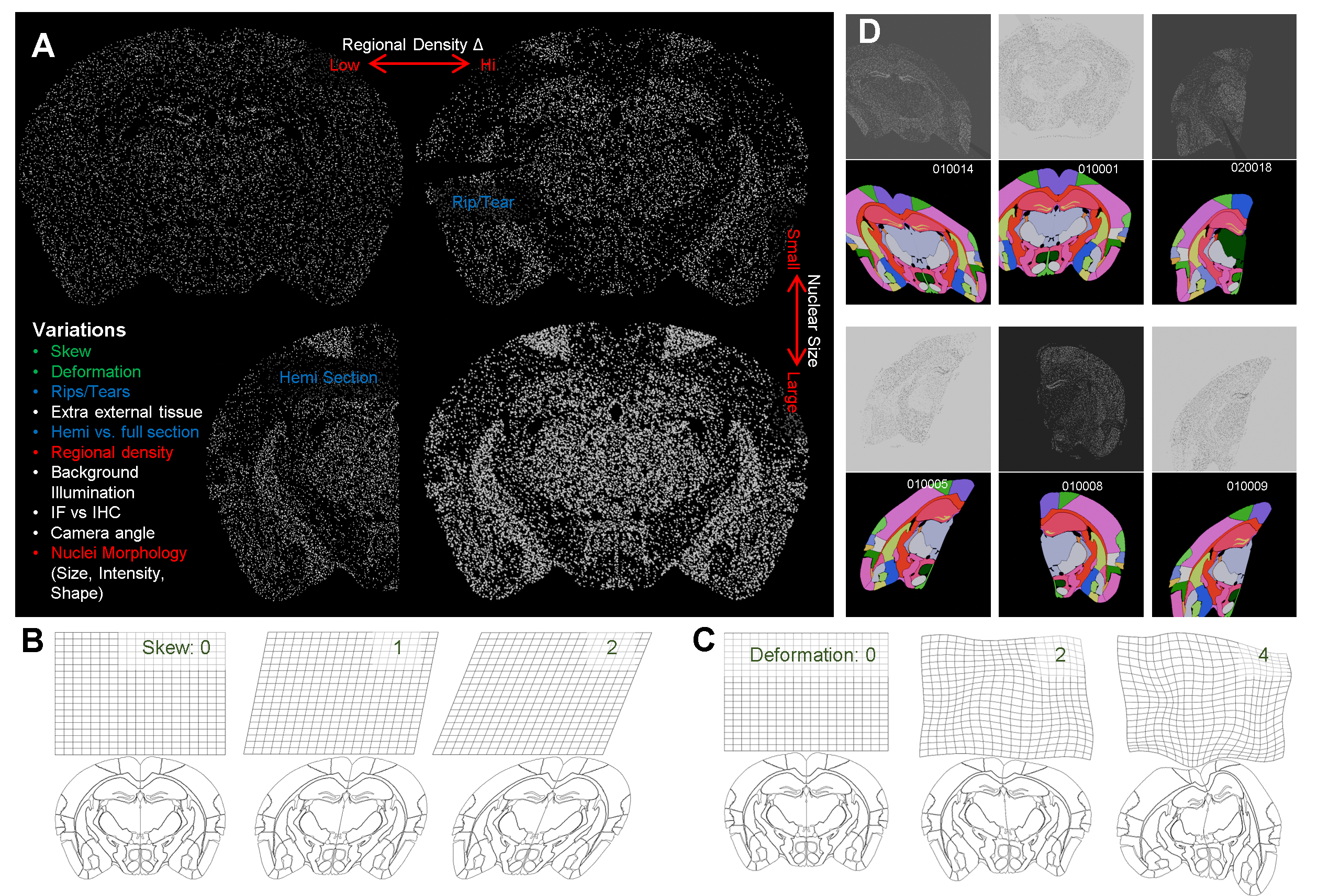 Details on things that can be adjusted.
